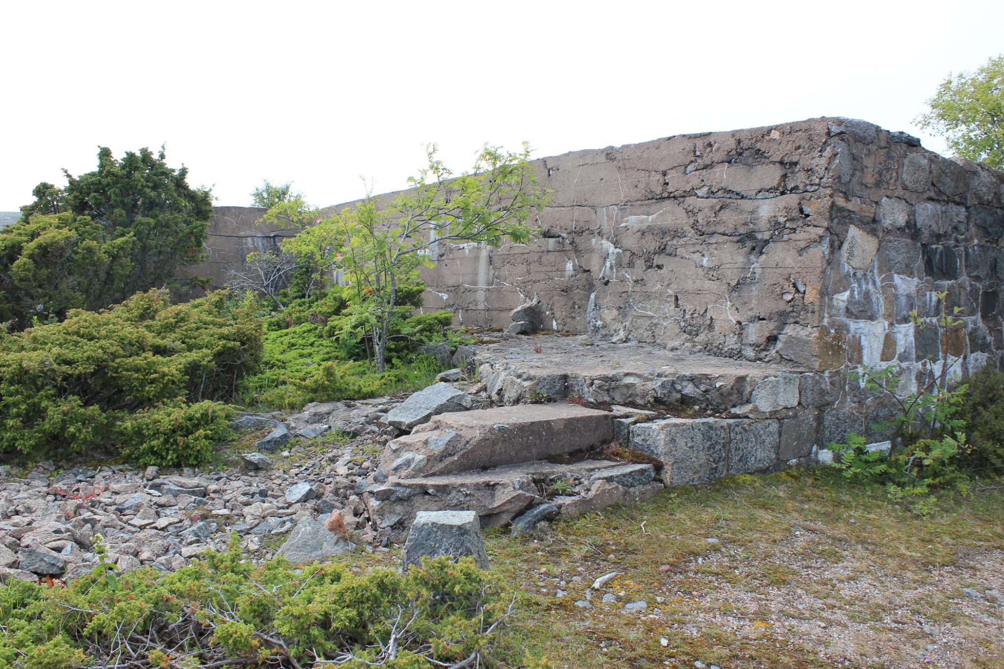 Kokar